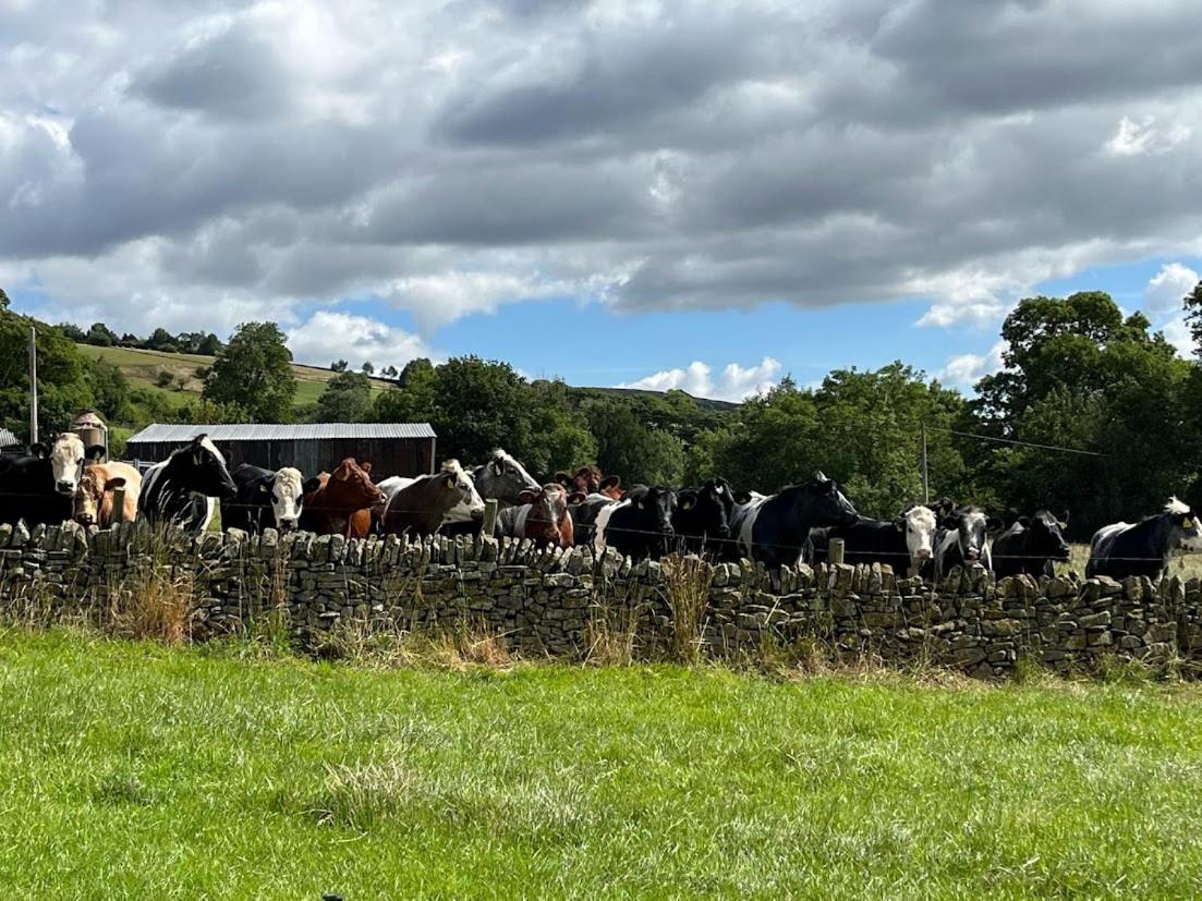 Riding House Farm Cottages Касълтън Екстериор снимка